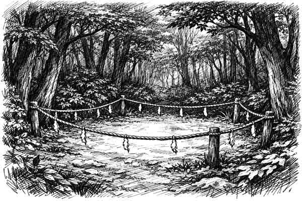 禁足地の注連縄